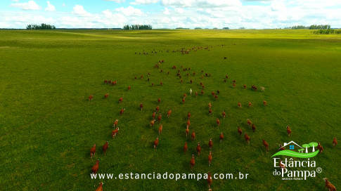 DOS EÓLICOS VIRA P FAZENDA_Moment.00_06_27_12.Quadro239_01844770bb768f8e9787c30921fa242bfd9958e0.jpg